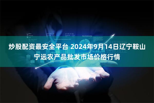 炒股配资最安全平台 2024年9月14日辽宁鞍山宁远农产品批发市场价格行情