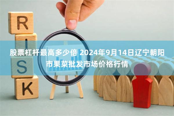 股票杠杆最高多少倍 2024年9月14日辽宁朝阳市果菜批发市场价格行情