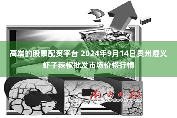 高端的股票配资平台 2024年9月14日贵州遵义虾子辣椒批发市场价格行情