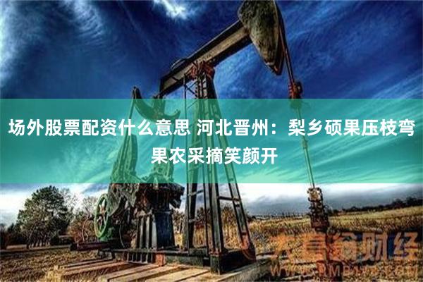 场外股票配资什么意思 河北晋州：梨乡硕果压枝弯 果农采摘笑颜开