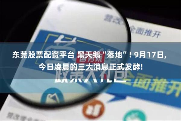 东莞股票配资平台 黑天鹅“落地”! 9月17日, 今日凌晨的三大消息正式发酵!