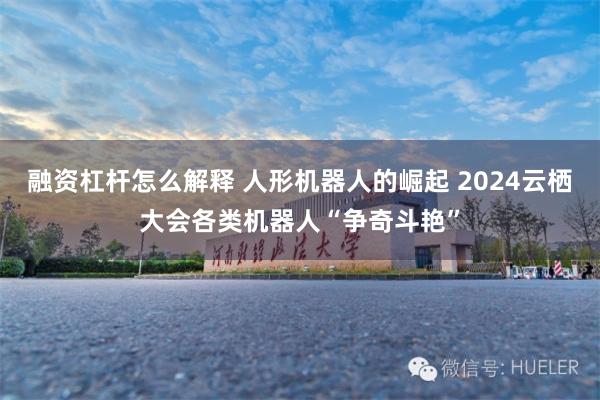 融资杠杆怎么解释 人形机器人的崛起 2024云栖大会各类机器人“争奇斗艳”