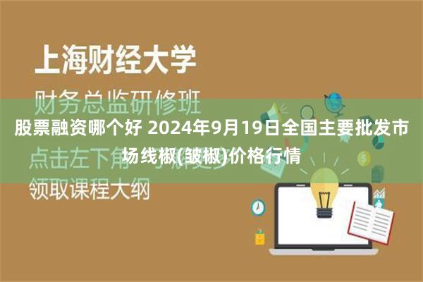 股票融资哪个好 2024年9月19日全国主要批发市场线椒(皱椒)价格行情
