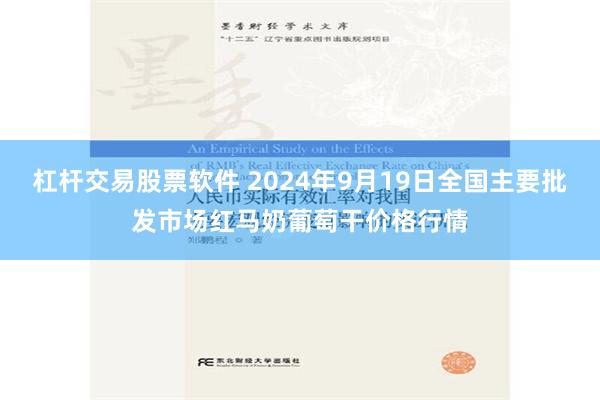 杠杆交易股票软件 2024年9月19日全国主要批发市场红马奶葡萄干价格行情