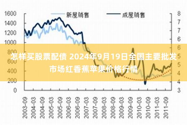怎样买股票配债 2024年9月19日全国主要批发市场红香蕉苹果价格行情