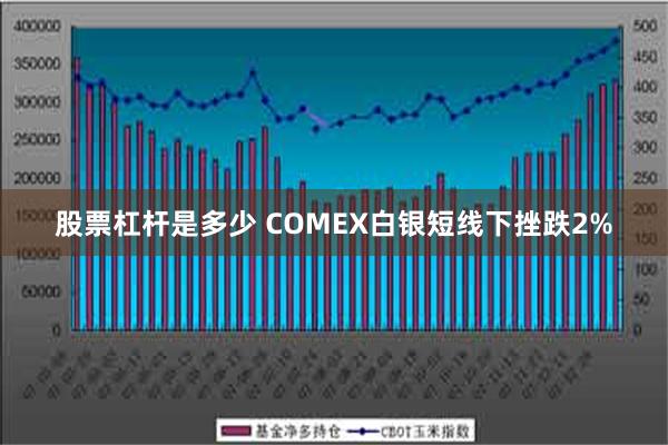 股票杠杆是多少 COMEX白银短线下挫跌2%