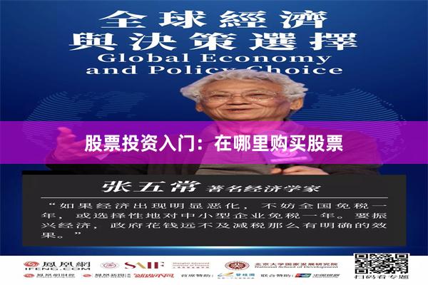 股票投资入门：在哪里购买股票