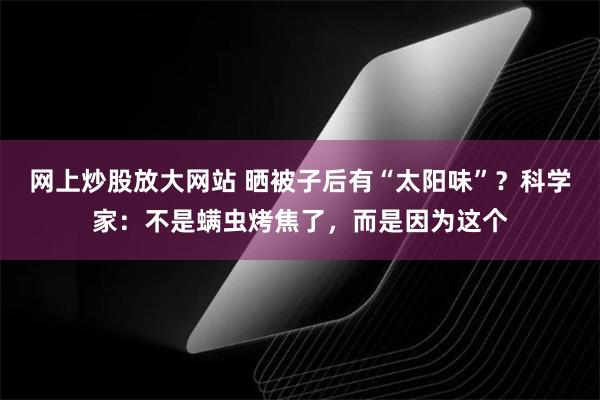 网上炒股放大网站 晒被子后有“太阳味”？科学家：不是螨虫烤焦了，而是因为这个