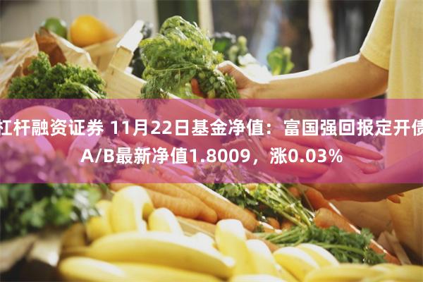 杠杆融资证券 11月22日基金净值：富国强回报定开债A/B最新净值1.8009，涨0.03%