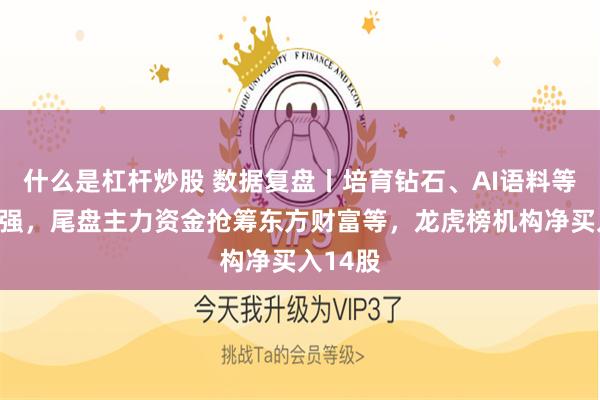 什么是杠杆炒股 数据复盘丨培育钻石、AI语料等概念走强，尾盘主力资金抢筹东方财富等，龙虎榜机构净买入14股