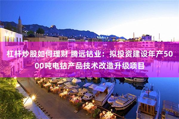 杠杆炒股如何理财 腾远钴业：拟投资建设年产5000吨电钴产品技术改造升级项目