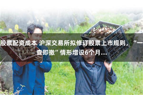 股票配资成本 沪深交易所拟修订股票上市规则，“一查即撤”情形增设6个月...