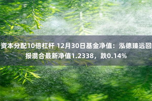 资本分配10倍杠杆 12月30日基金净值：泓德臻远回报混合最新净值1.2338，跌0.14%