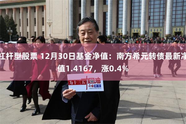 杠杆型股票 12月30日基金净值：南方希元转债最新净值1.4167，涨0.4%