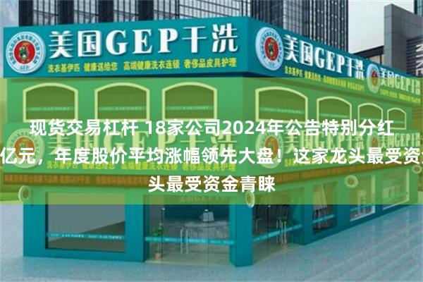 现货交易杠杆 18家公司2024年公告特别分红超170亿元，年度股价平均涨幅领先大盘！这家龙头最受资金青睐