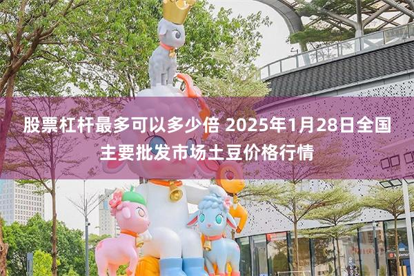 股票杠杆最多可以多少倍 2025年1月28日全国主要批发市场土豆价格行情