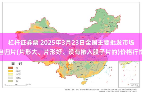 杠杆证券票 2025年3月23日全国主要批发市场当归片(片形大、片形好、没有掺入股子片的)价格行情