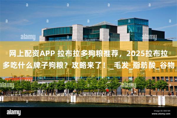 网上配资APP 拉布拉多狗粮推荐，2025拉布拉多吃什么牌子狗粮？攻略来了！_毛发_脂肪酸_谷物