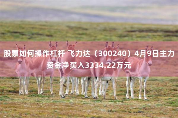 股票如何操作杠杆 飞力达（300240）4月9日主力资金净买入3334.22万元
