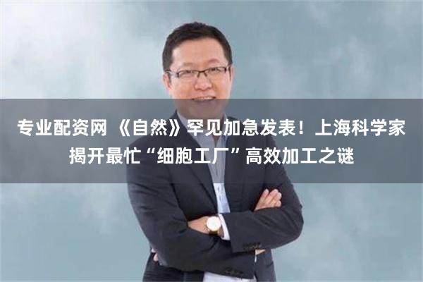 专业配资网 《自然》罕见加急发表！上海科学家揭开最忙“细胞工厂”高效加工之谜