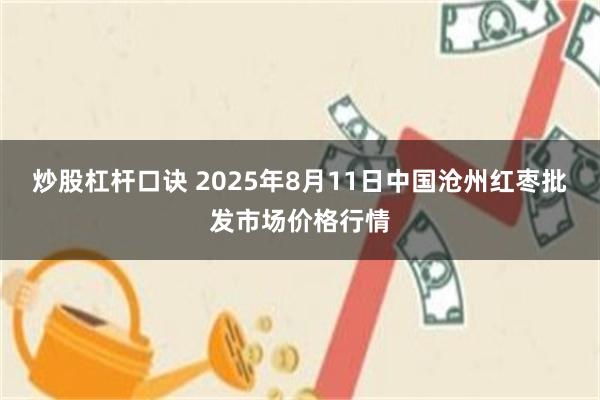炒股杠杆口诀 2025年8月11日中国沧州红枣批发市场价格行情