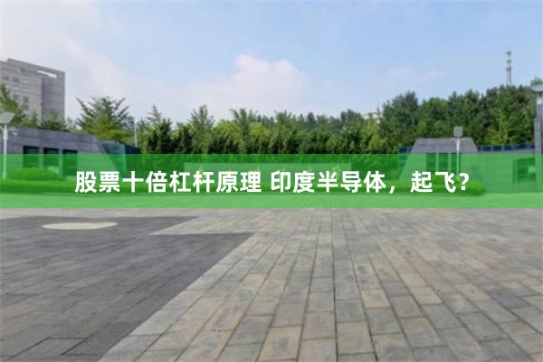 股票十倍杠杆原理 印度半导体,起飞?