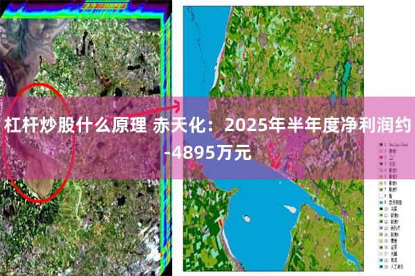 杠杆炒股什么原理 赤天化：2025年半年度净利润约-4895万元