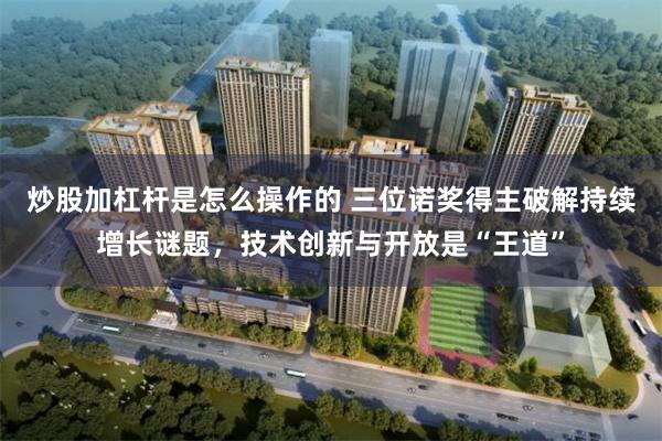 炒股加杠杆是怎么操作的 三位诺奖得主破解持续增长谜题，技术创新与开放是“王道”