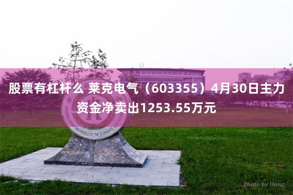 股票有杠杆么 莱克电气（603355）4月30日主力资金净卖出1253.55万元