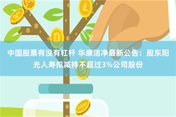 中国股票有没有杠杆 华康洁净最新公告：股东阳光人寿拟减持不超过3%公司股份